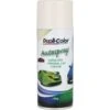 Dupli-Color Touch-Up Paint Polar White 150g DSF03