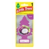 Little Trees Air Freshener Dragonfruit